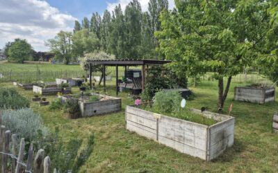 Des terrains partagés, des liens cultivés : un projet commun entre La Sambrienne et la MPA, via le réseau Jaquady